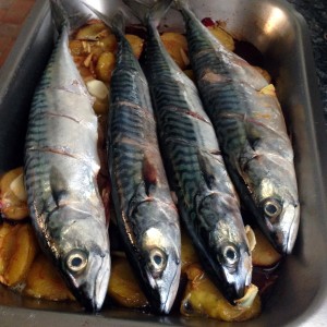 Maquereaux sauce aux prunes