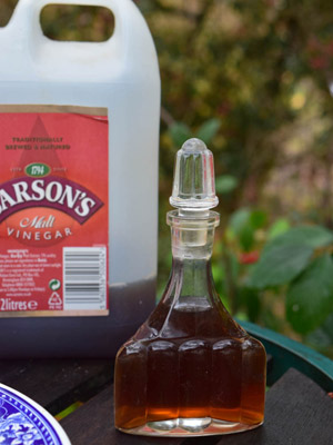 Tout savoir sur le Malt vinegar